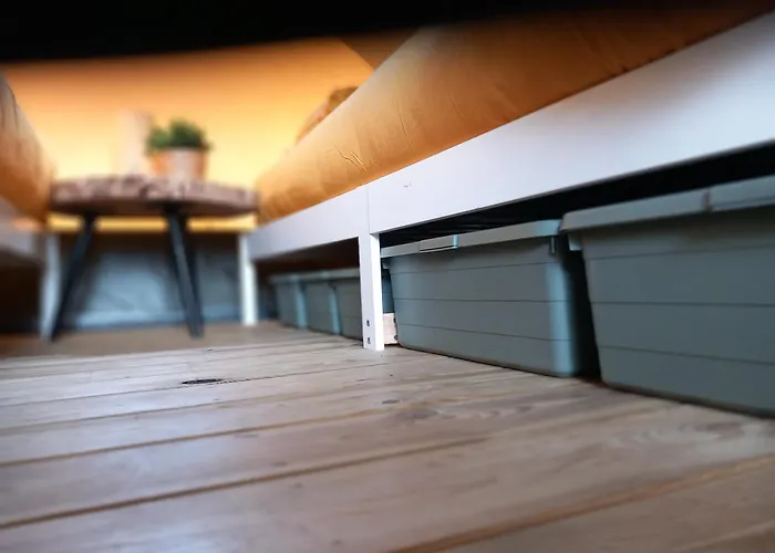 Safari 'linge-zicht' Tiel