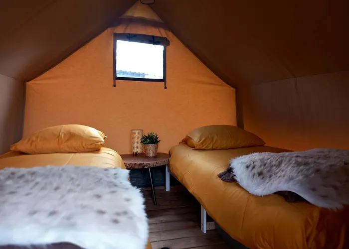 Safari 'linge-zicht'