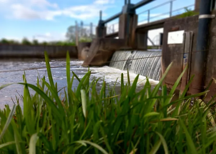 Safari 'linge-zicht' *